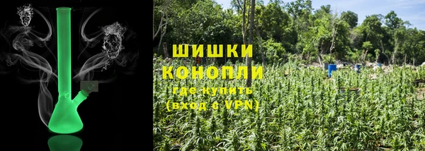 экстази Бородино