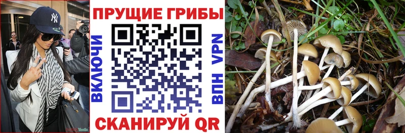 hydra ссылка  Зима  Галлюциногенные грибы Magic Shrooms  наркота 