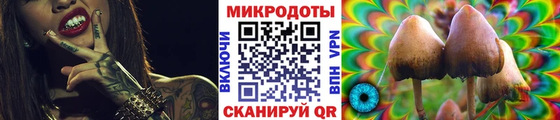 Псилоцибиновые грибы мицелий Зима
